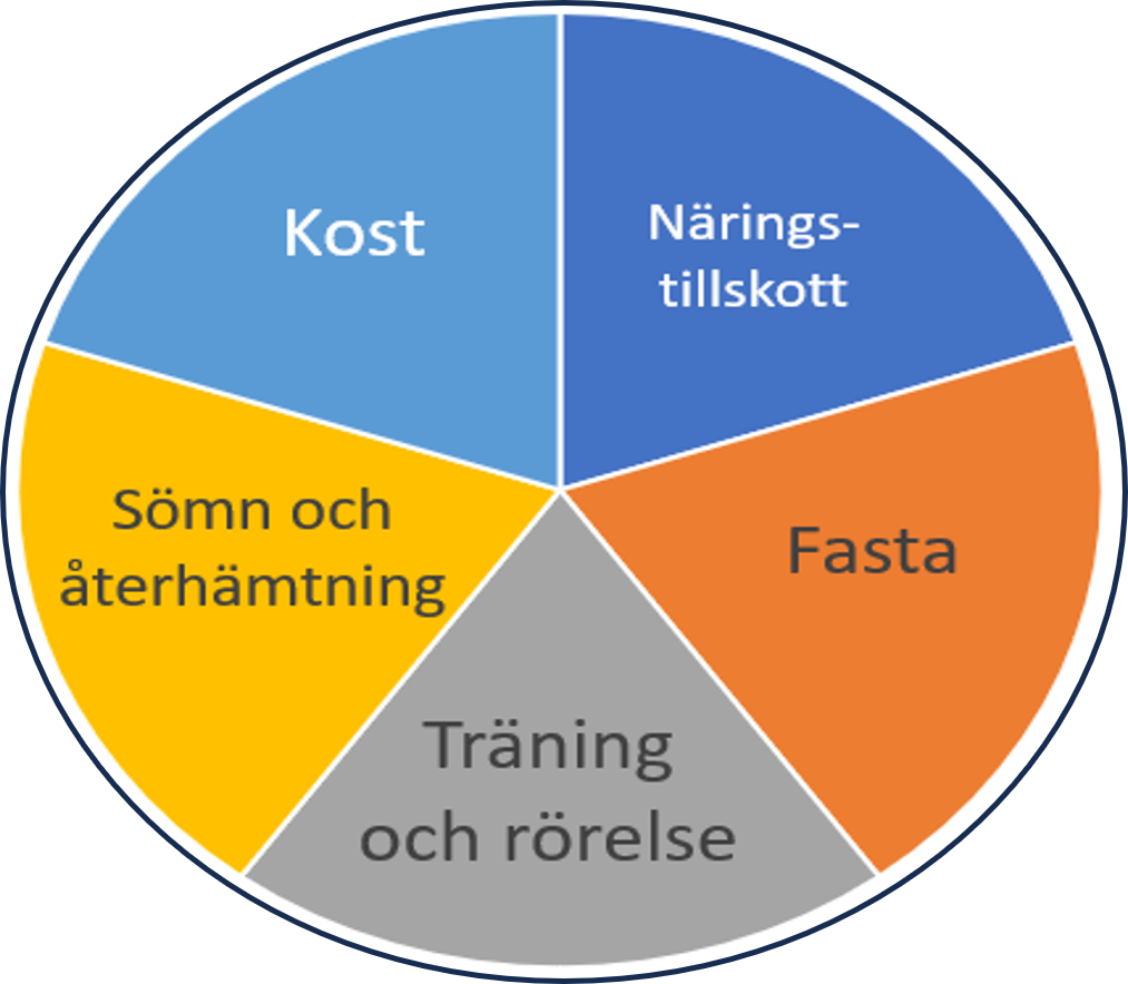 Bild av individuell åtgärdsplan för hälsa och välmående
